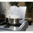 Sahara Gasgrill Performer 4 brænder